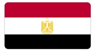 埃及专利