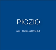 【美国商标出售】PIOZIO—21类皮革手杖雨具精品商标转让